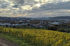 image_028